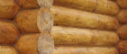 the rounded log